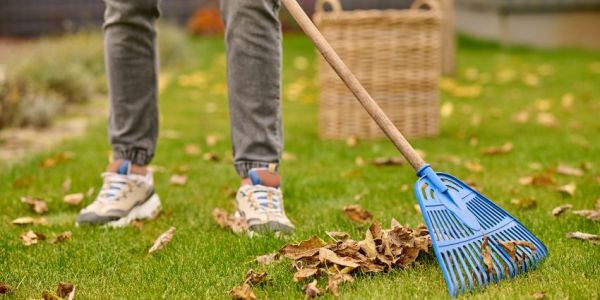 Limpieza y mantenimiento de un patio comunitario